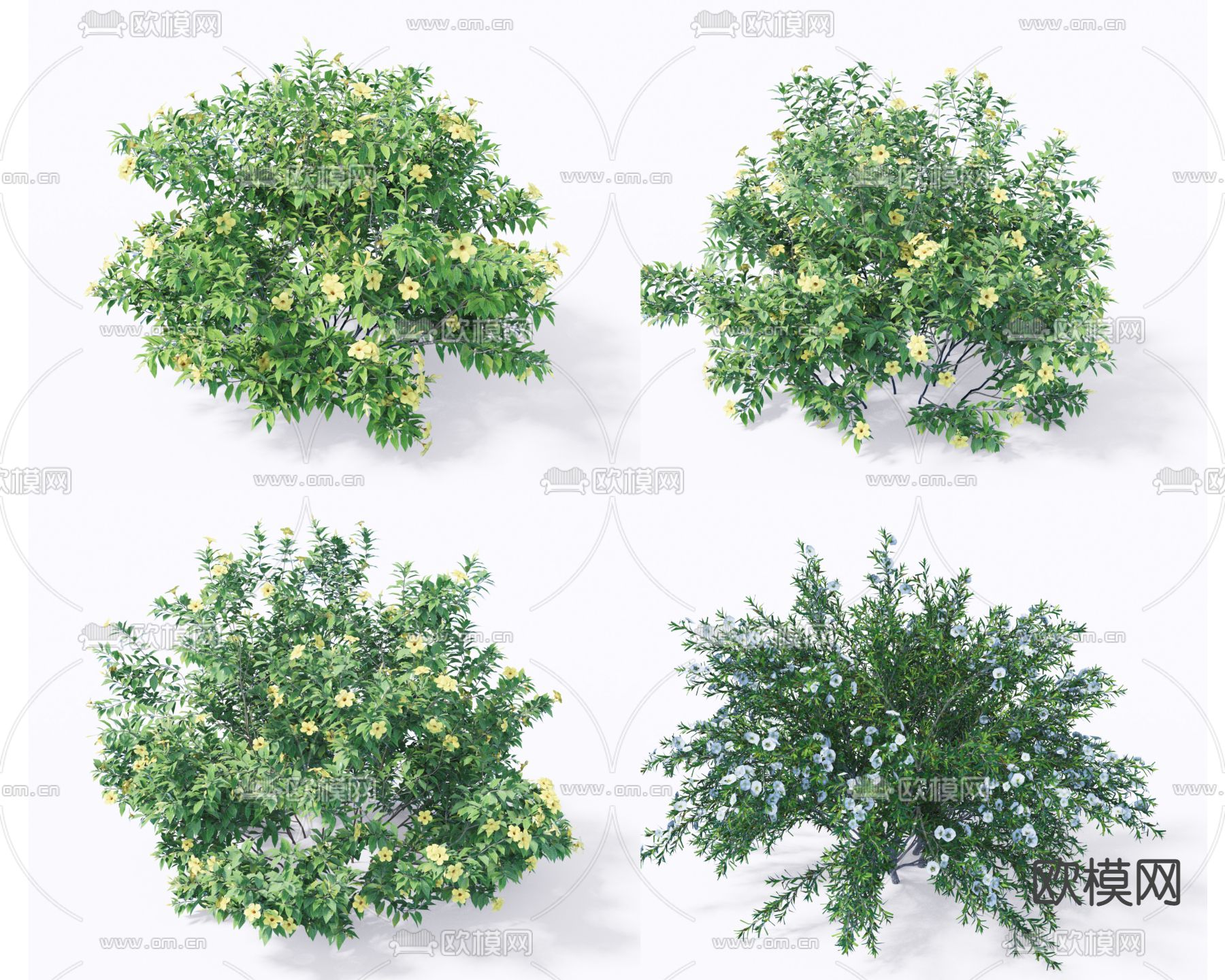 现代绿植灌木su模型下载（渲染图1）