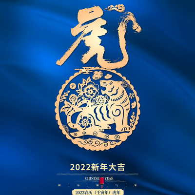  中国风国潮虎年海报 