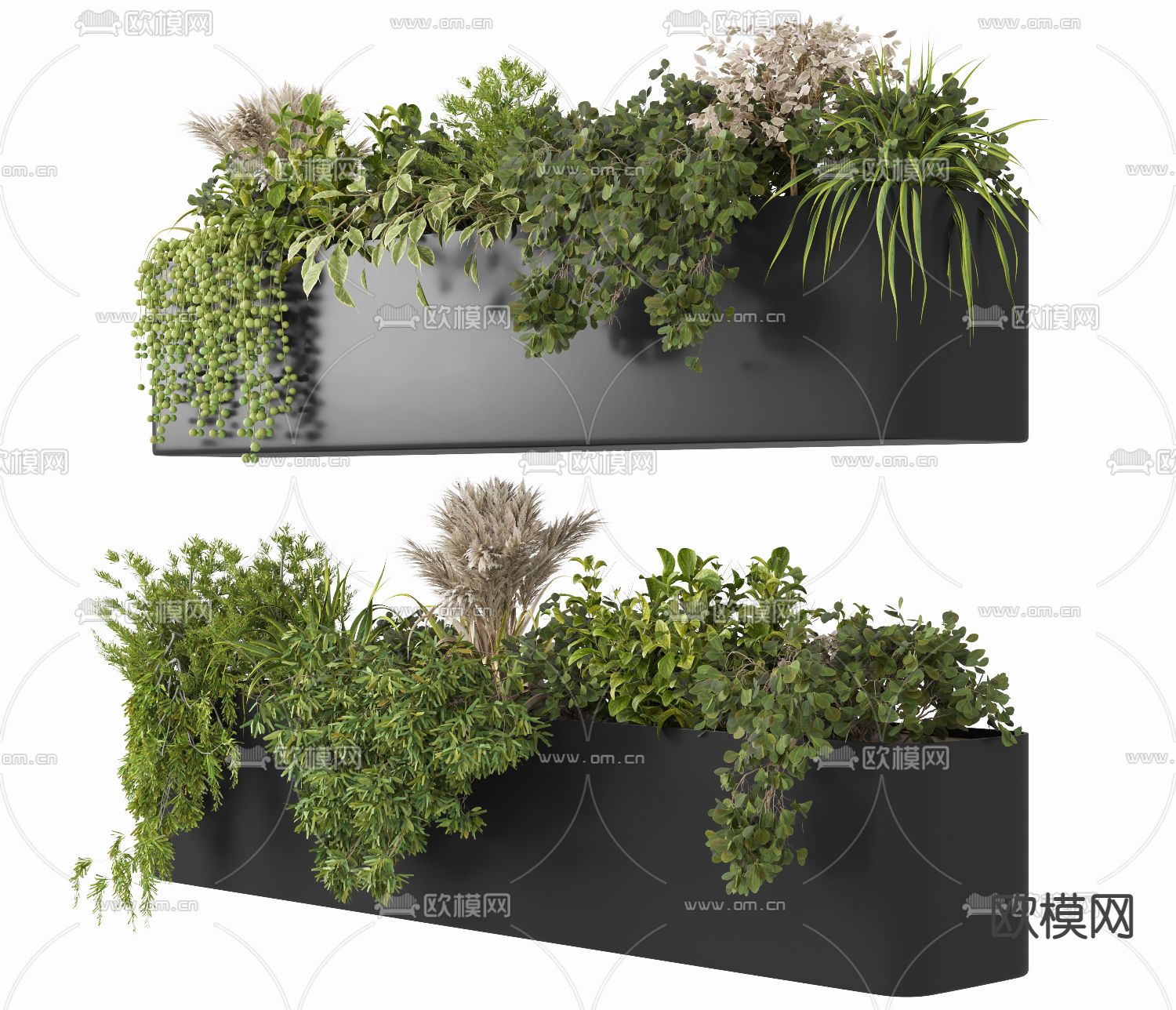 现代绿植花箱盆栽3d模型下载（渲染图2）