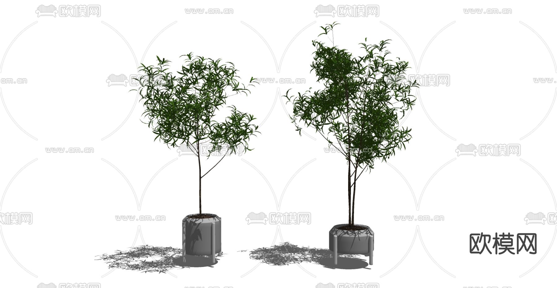 现代绿植盆栽su模型下载（渲染图2）