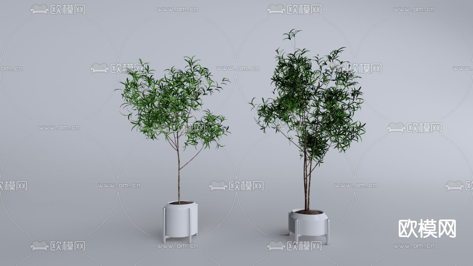 现代绿植盆栽su模型下载（渲染图1）