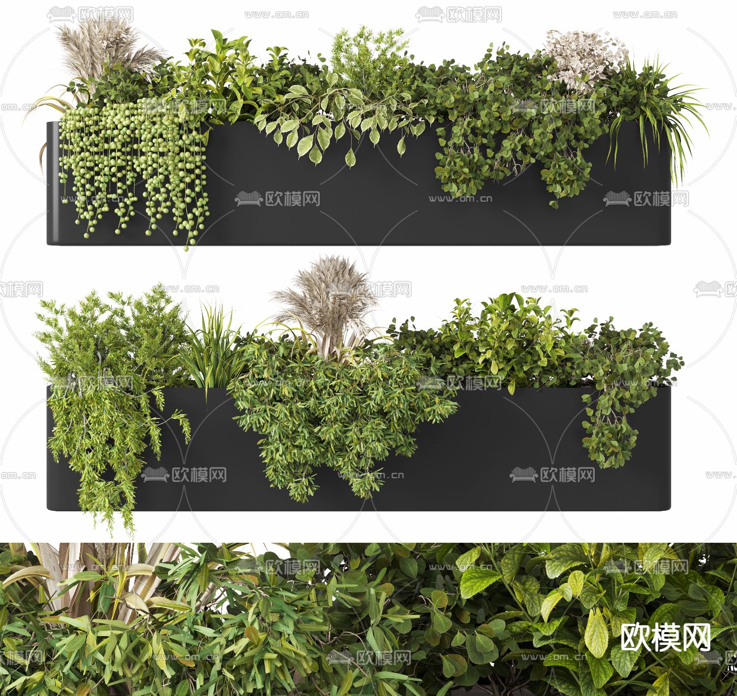 现代绿植花箱盆栽3d模型下载（渲染图1）