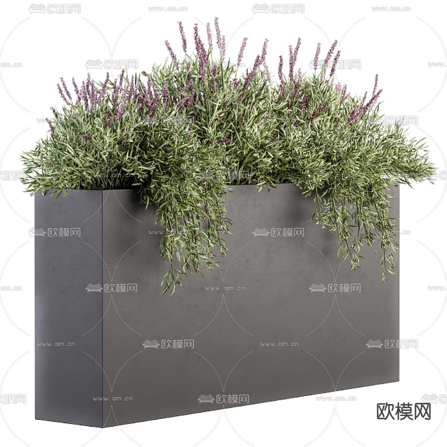 现代植物盆栽花箱3d模型