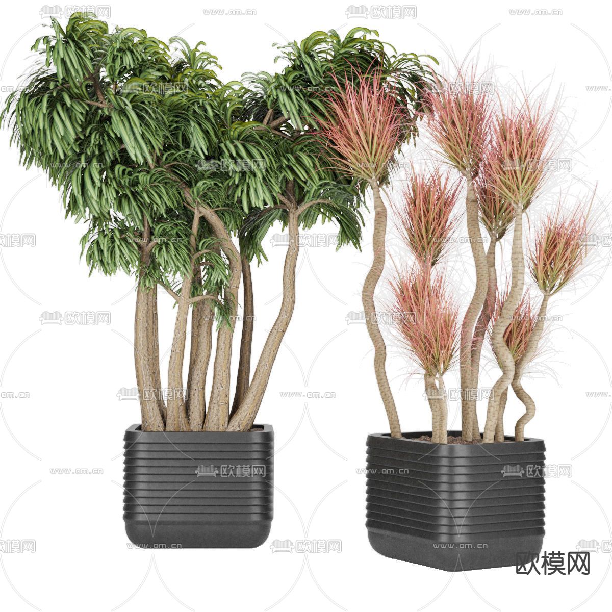 现代植物盆栽3d模型下载
