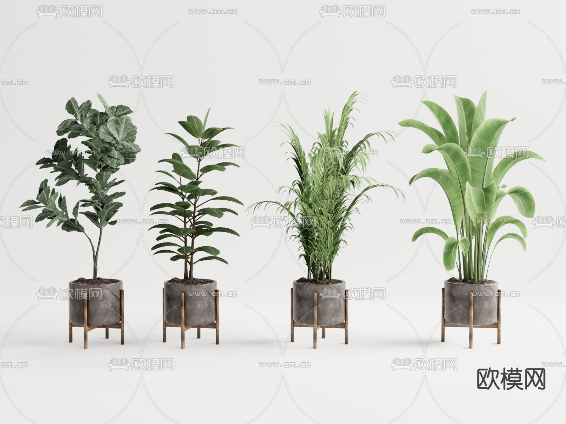 现代植物盆栽su模型下载（渲染图1）