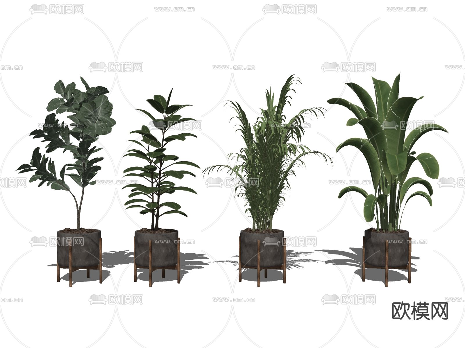 现代植物盆栽su模型下载（渲染图2）