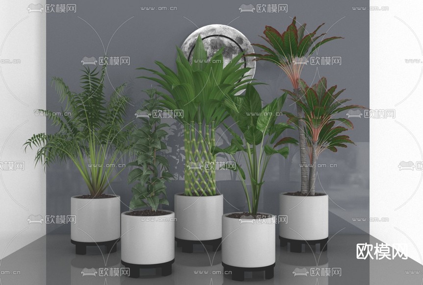 现代绿植盆栽免费3d模型下载_ID11774899_3dmax免费模型-欧模网