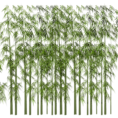  现代竹子su模型 