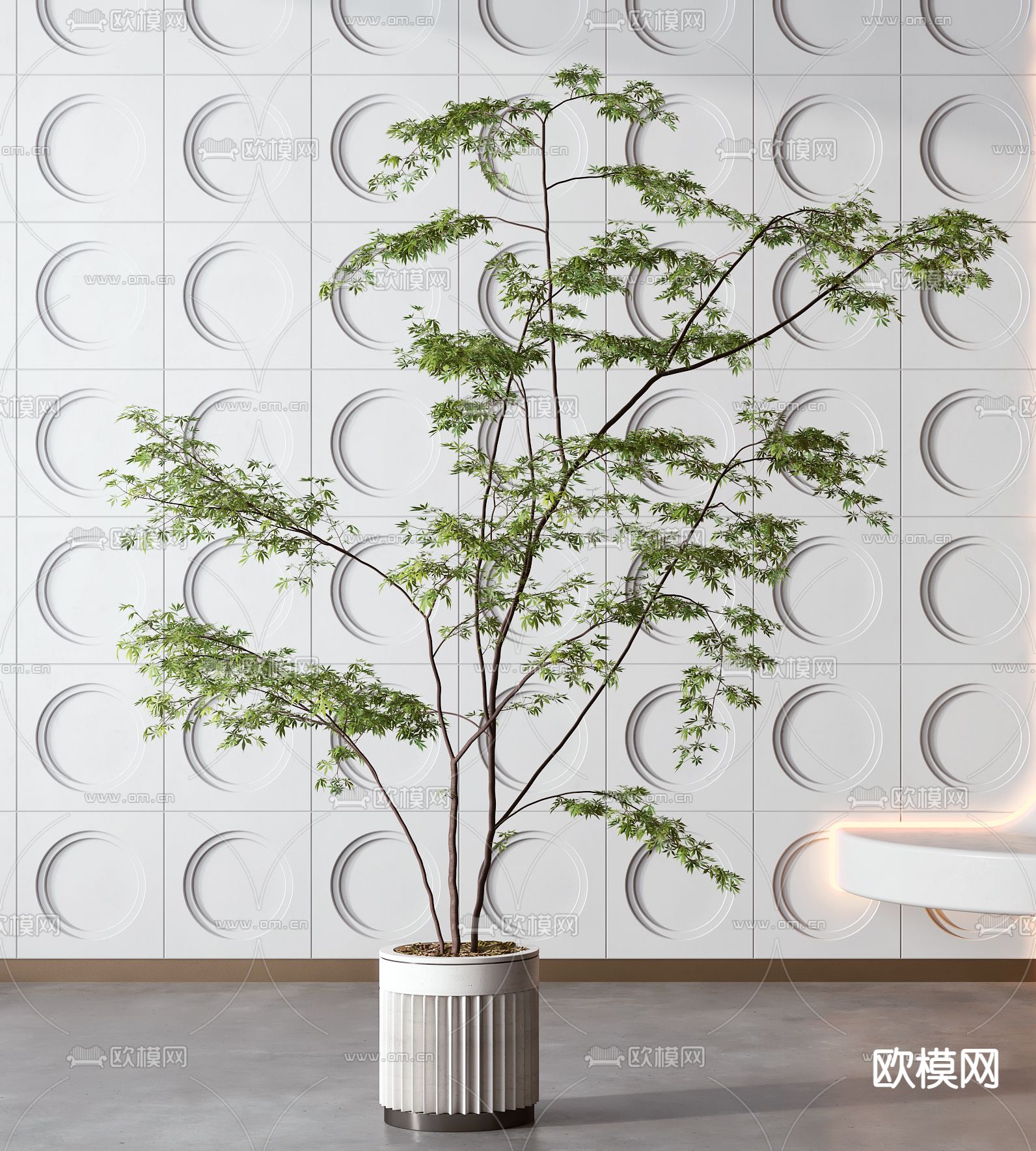 现代绿植盆栽3d模型下载（渲染图1）