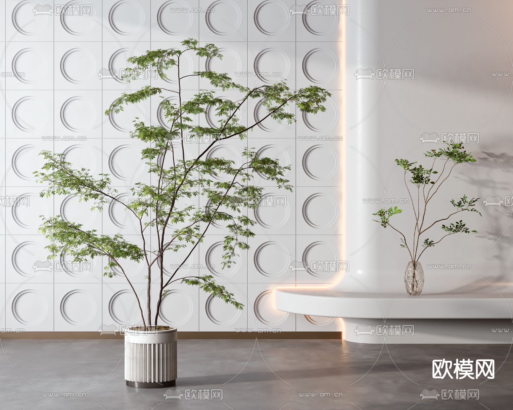 现代绿植盆栽3d模型下载（渲染图2）