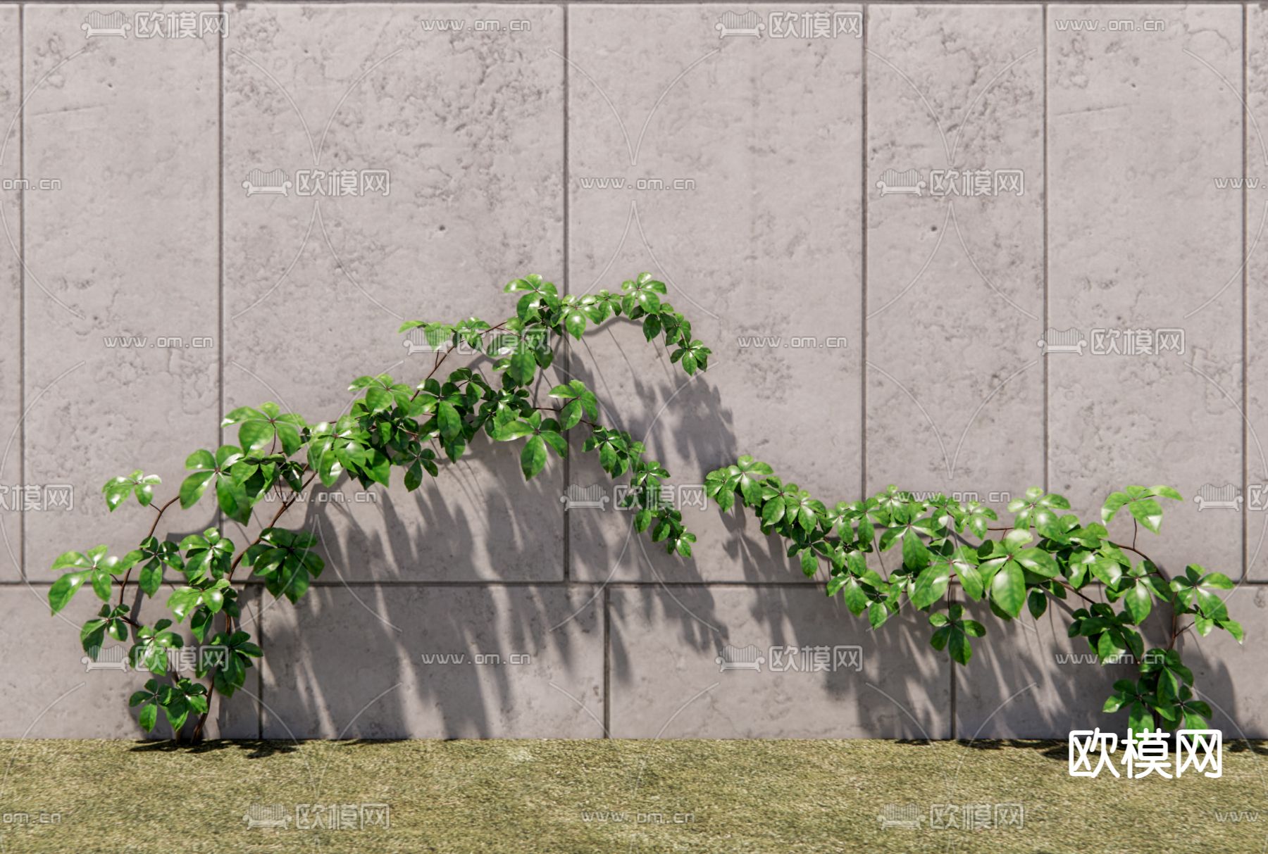 现代景观树su模型下载（渲染图1）