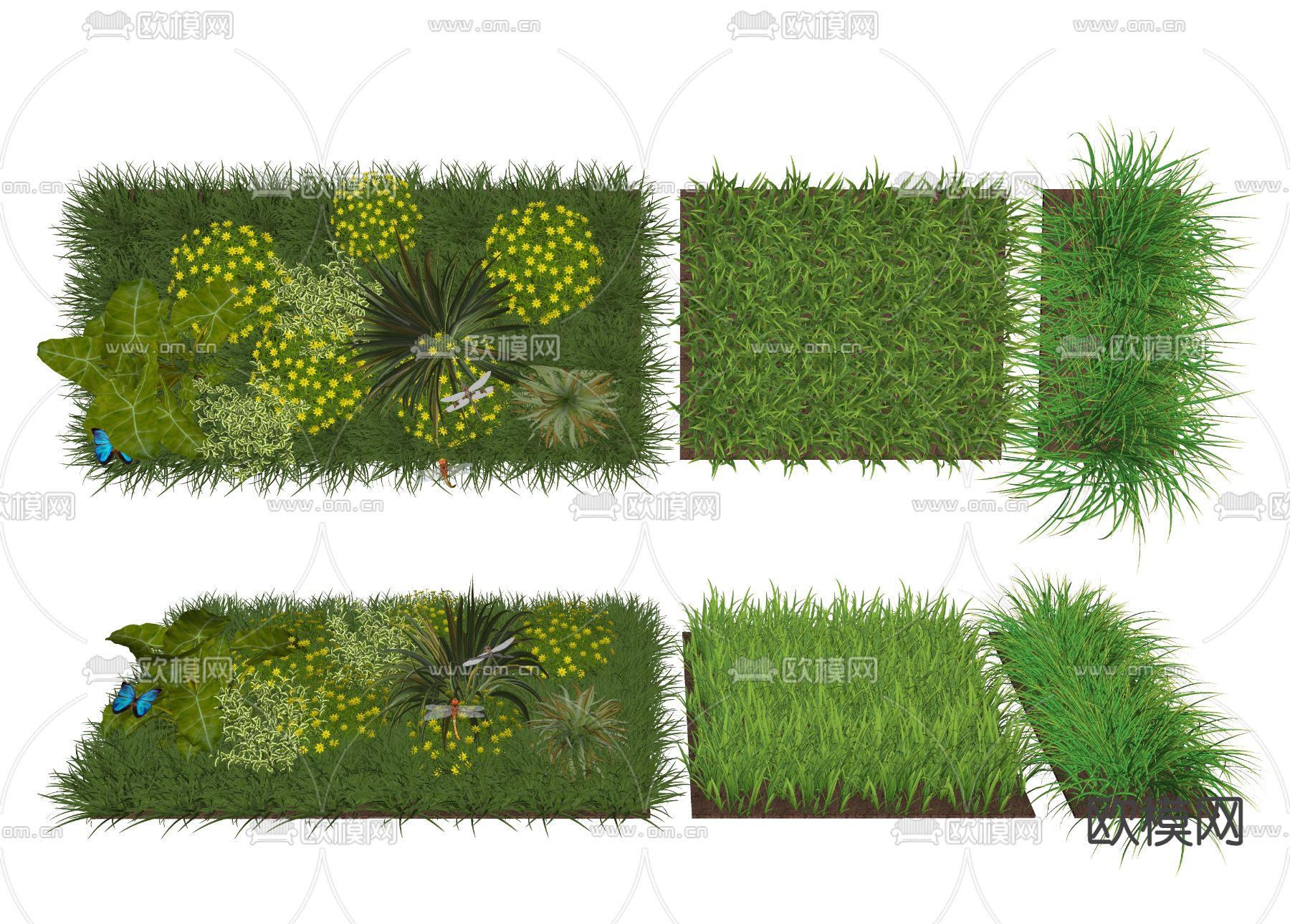现代草坪草皮植被su模型下载（渲染图2）