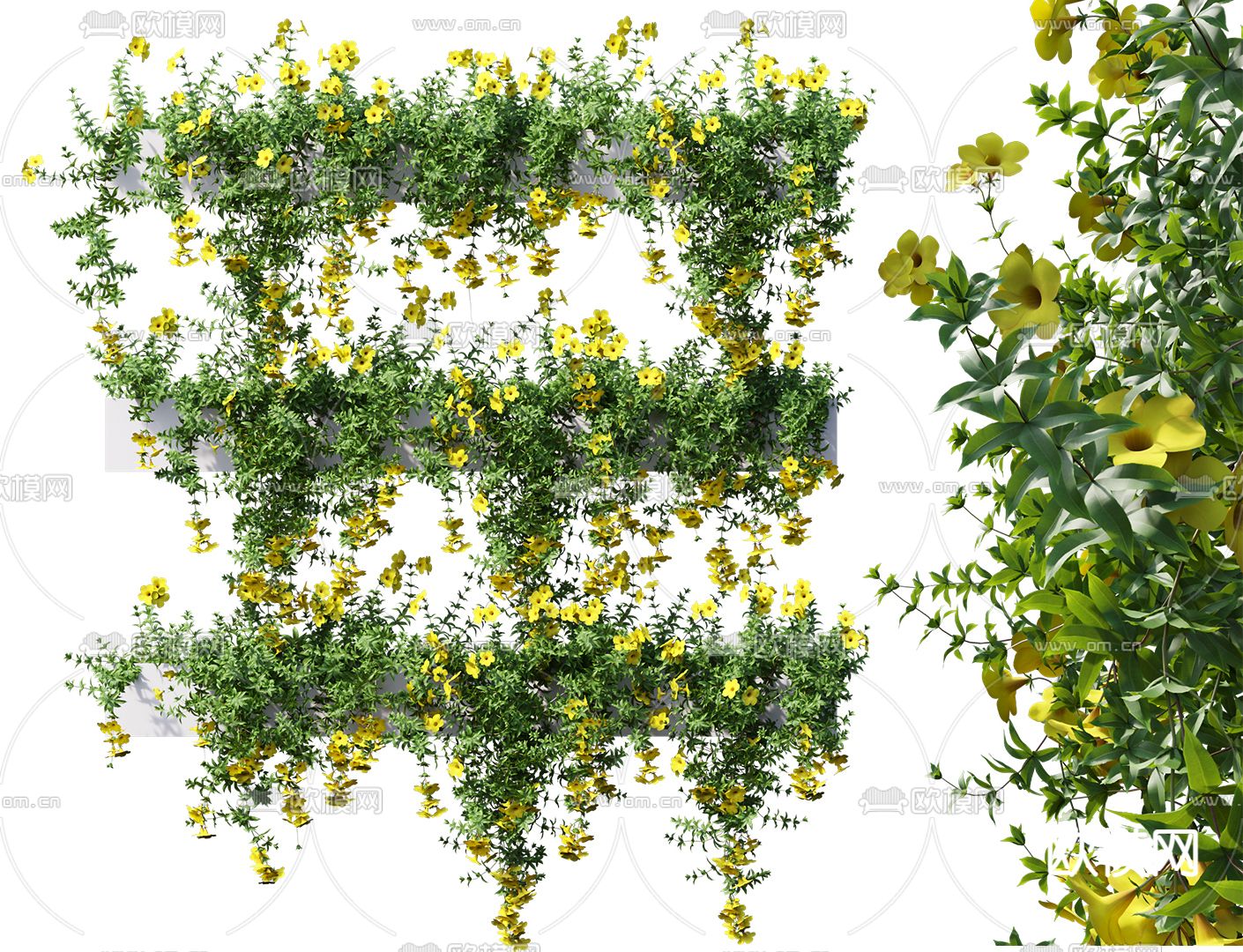 现代绿植藤蔓3d模型