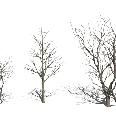  现代枯树su模型 