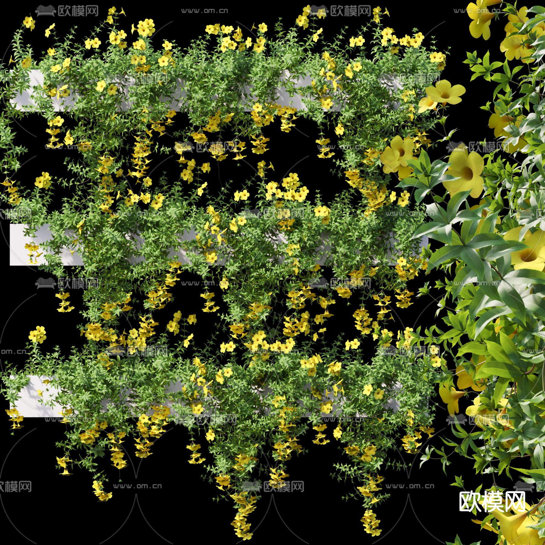 现代绿植藤蔓3d模型