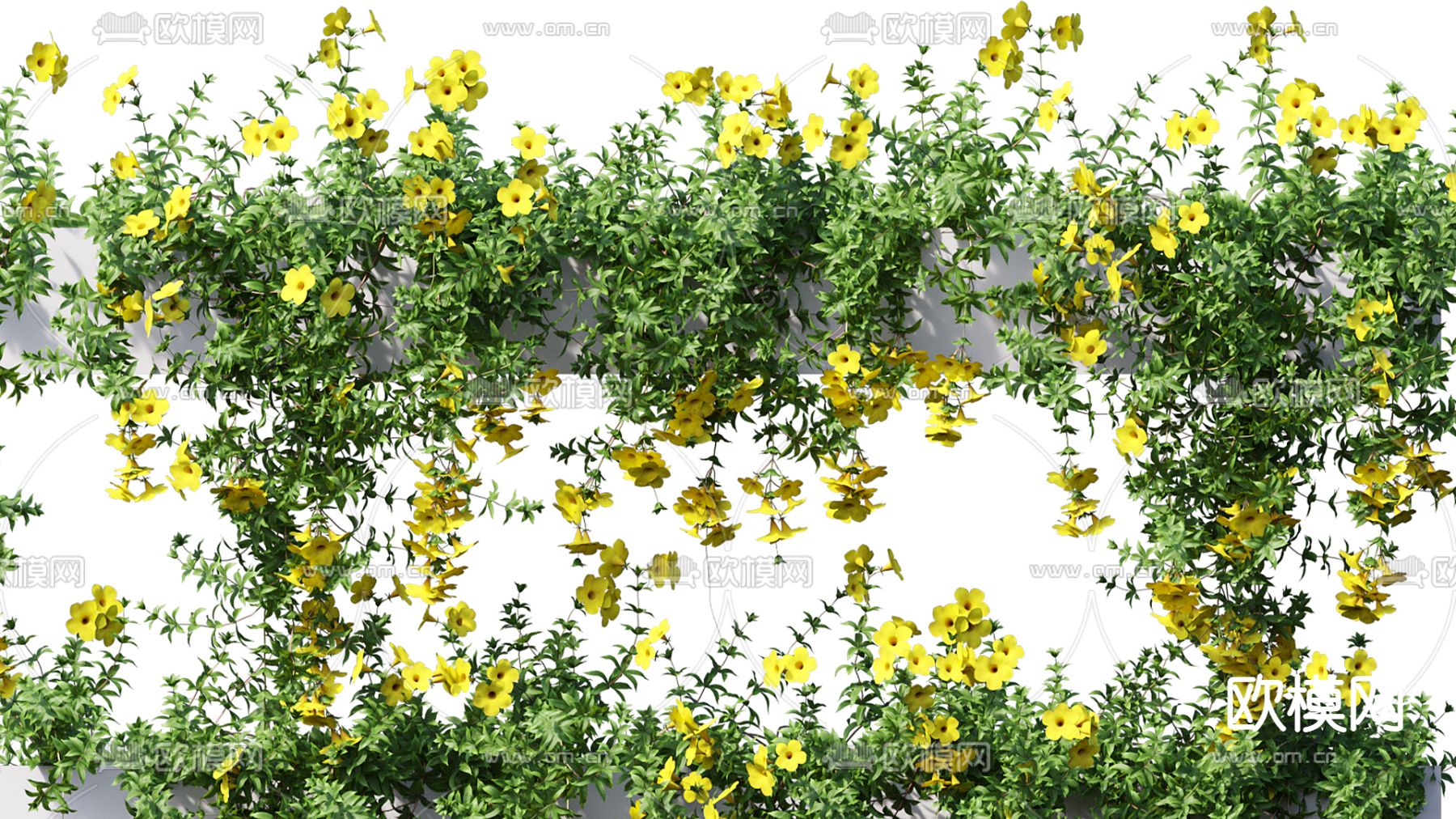 现代绿植藤蔓3d模型