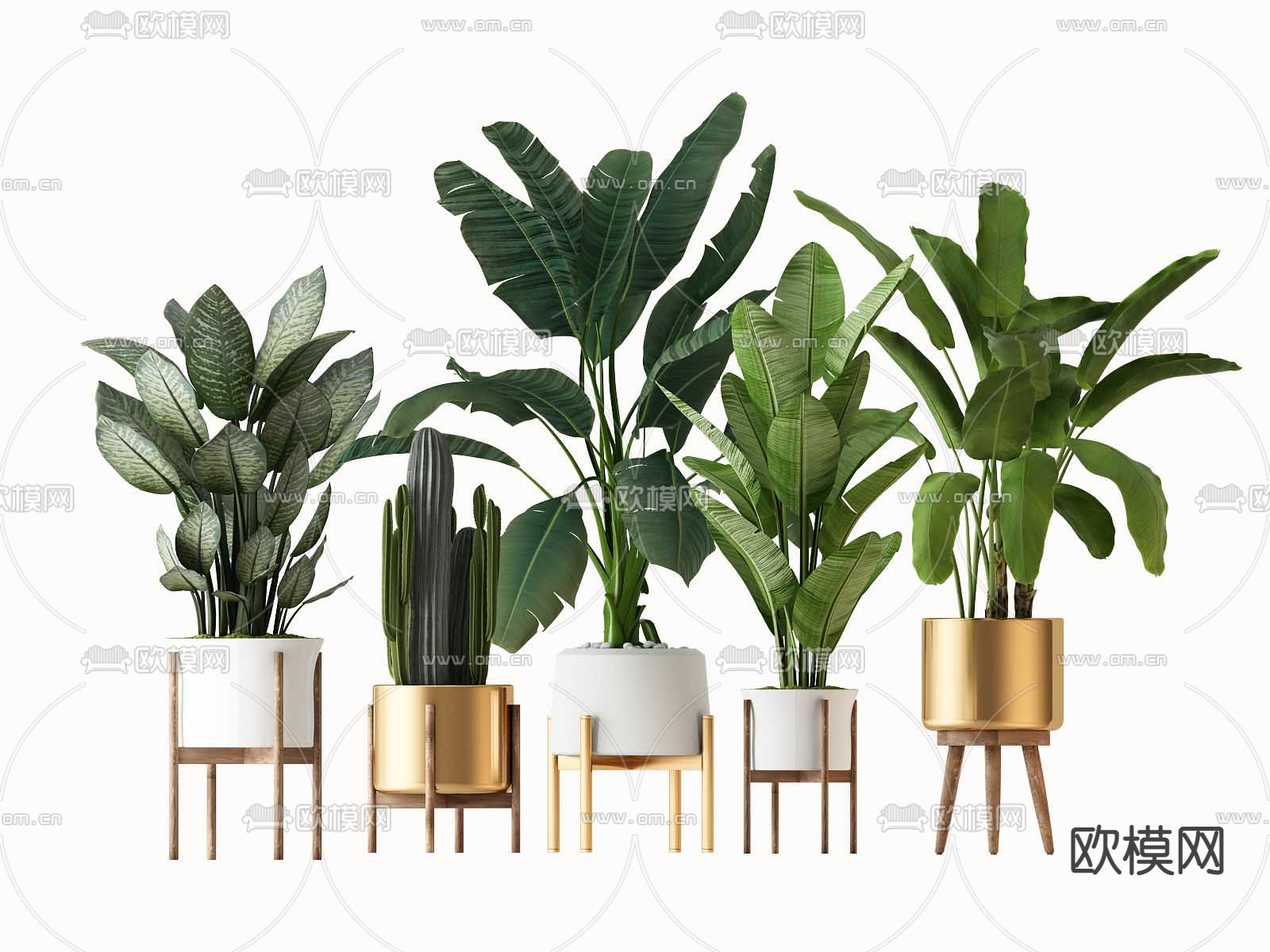 北欧芭蕉绿植盆栽3d模型下载