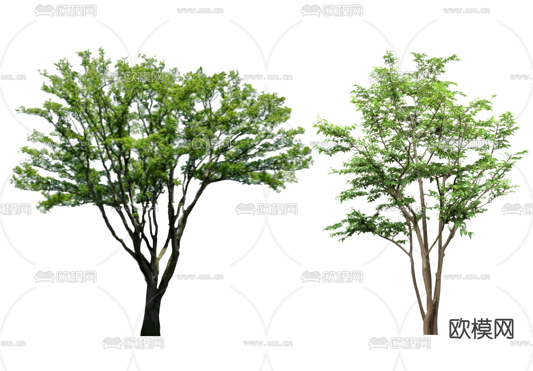 现代朴树su模型下载