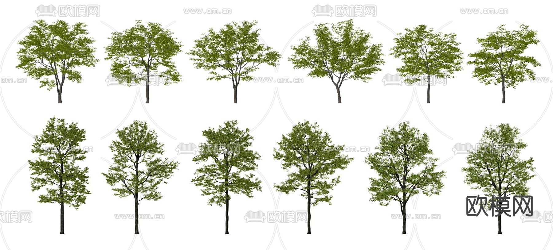现代景观树3d模型