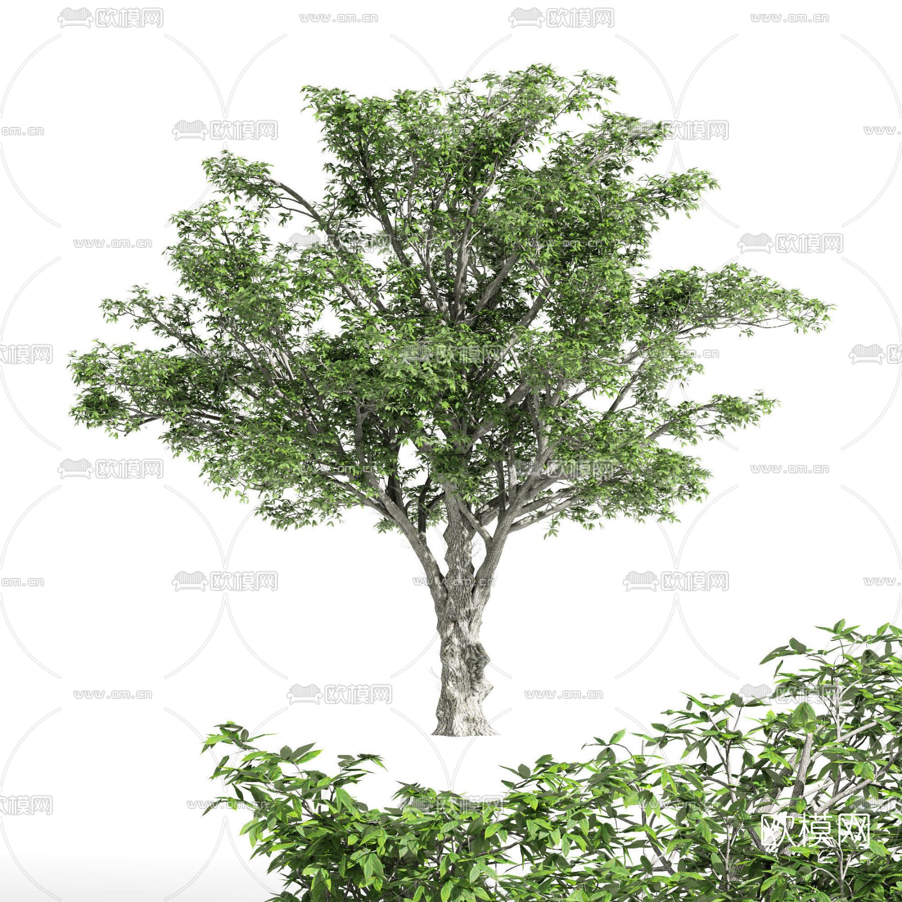 现代绿植树木免费3d模型下载