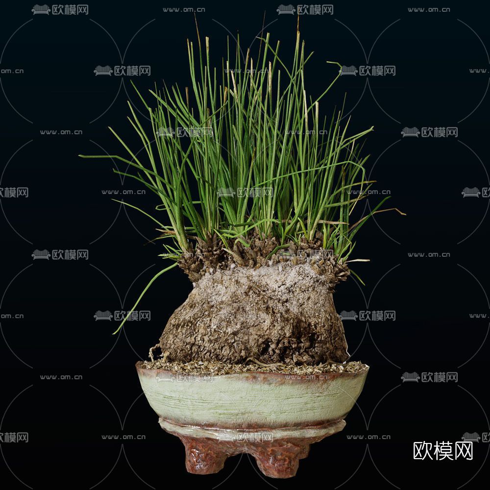 现代盆栽免费3d模型下载