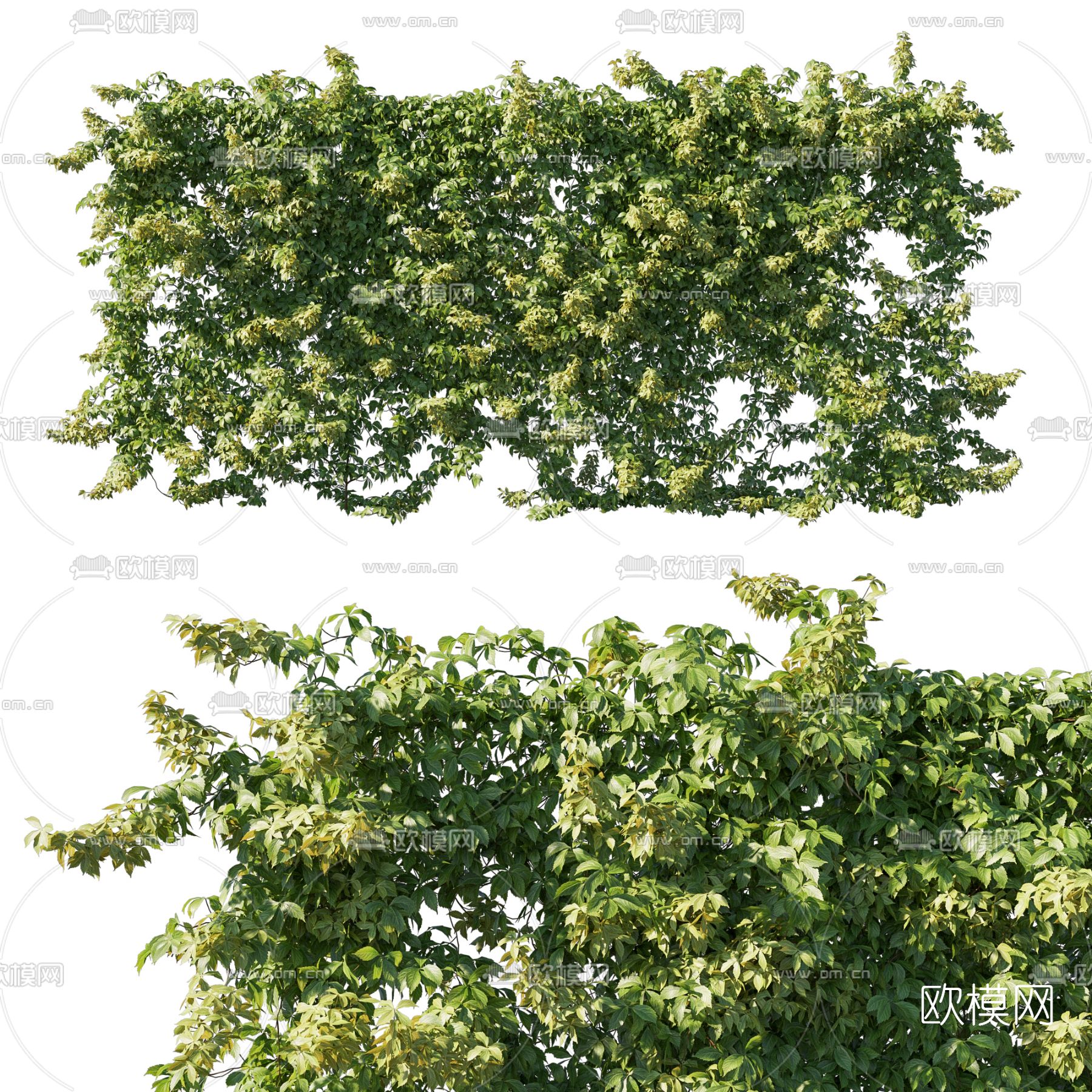 现代藤蔓免费3d模型下载