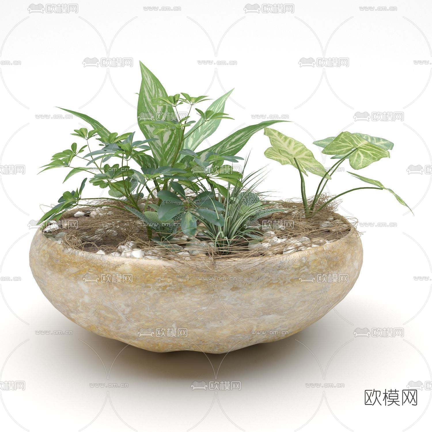 现代绿植盆栽免费3d模型下载