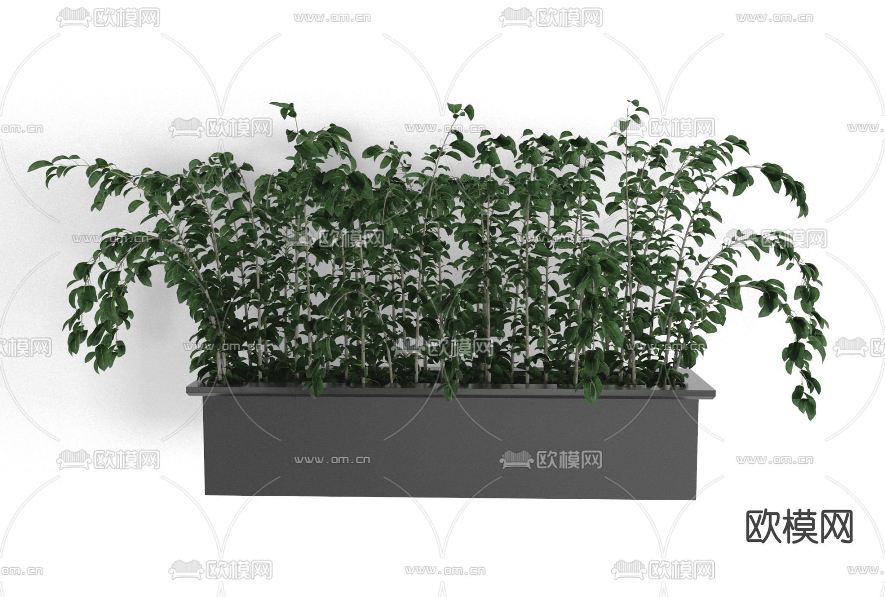 现代绿植盆栽免费3d模型下载