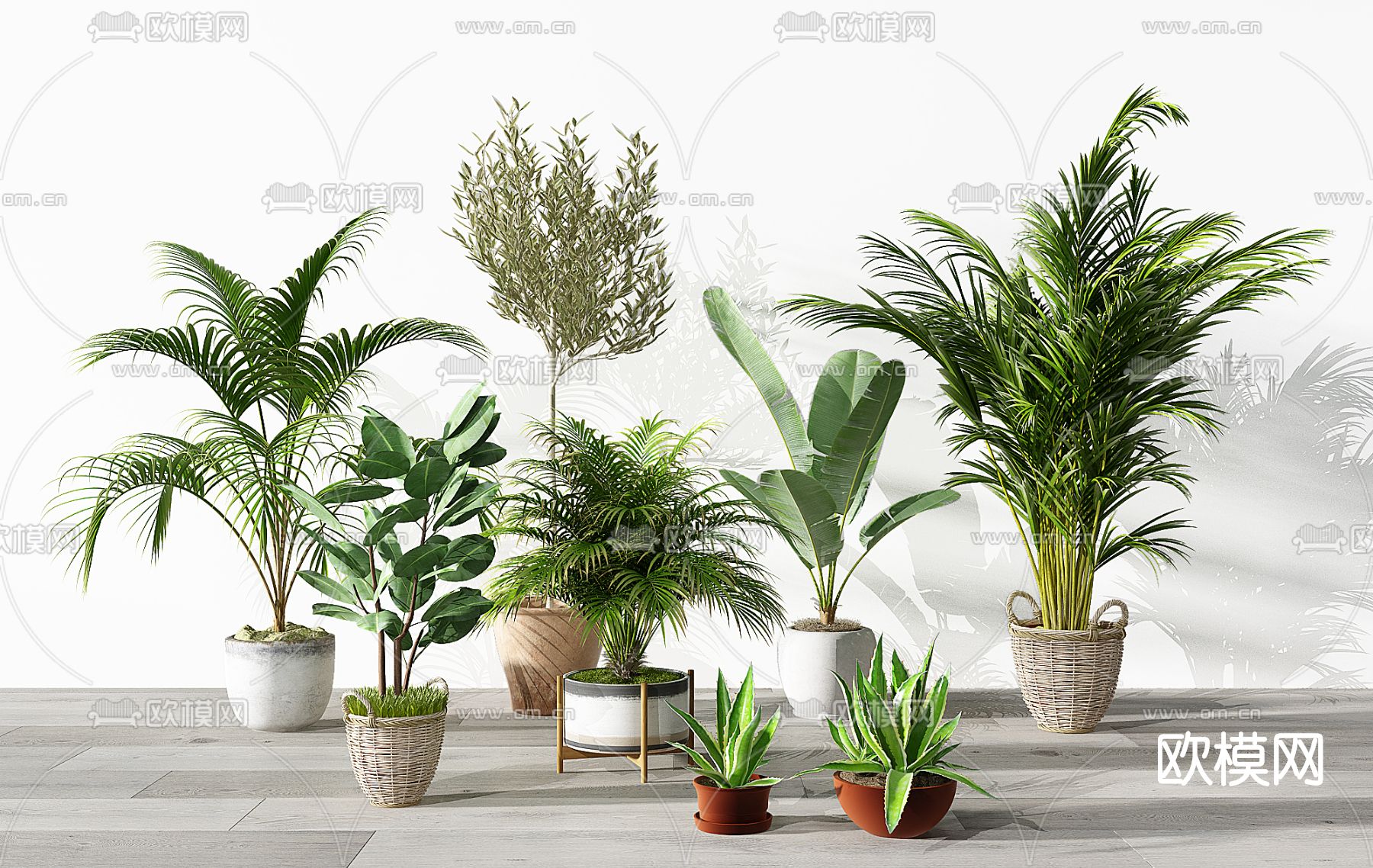 现代植物盆栽免费3d模型下载