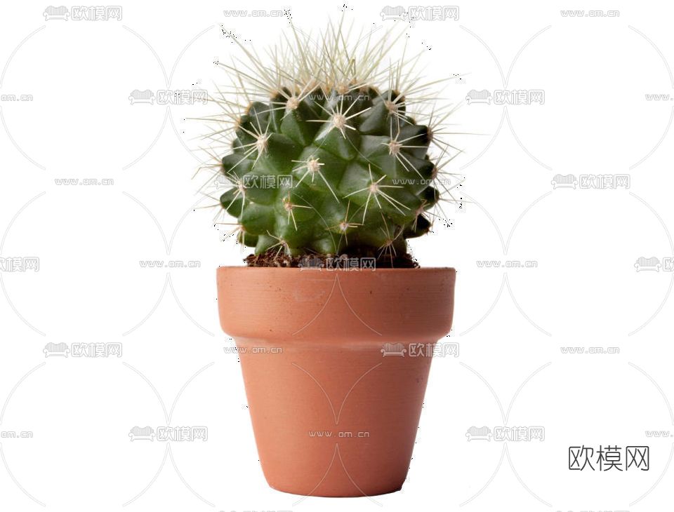 现代仙人球盆栽免费3d模型下载