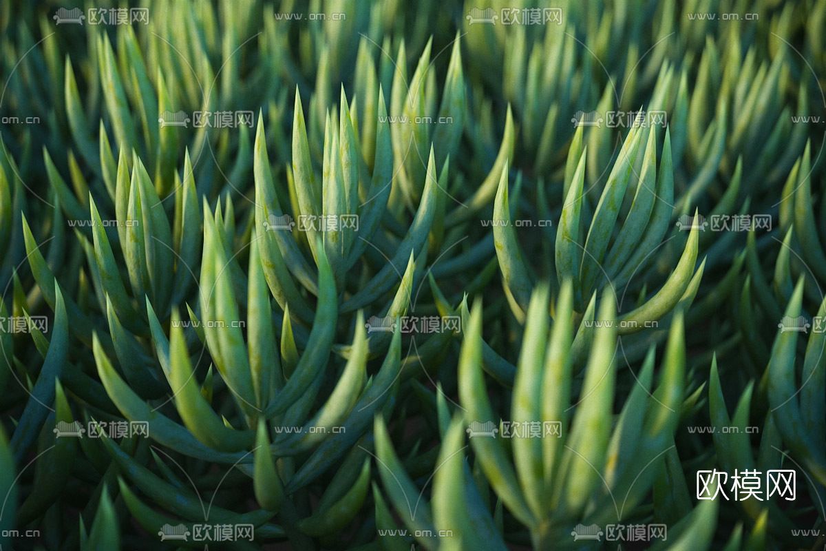 现代多肉盆栽免费3d模型下载