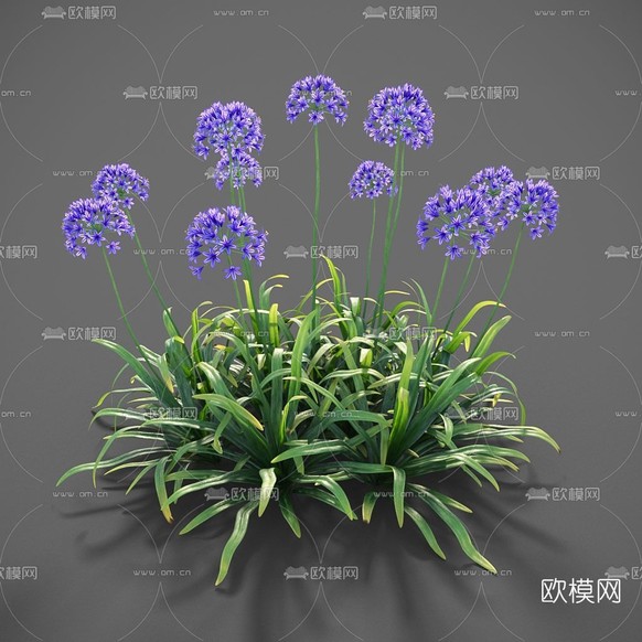 现代花草免费3d模型下载_ID11808387_3dmax免费模型-欧模网