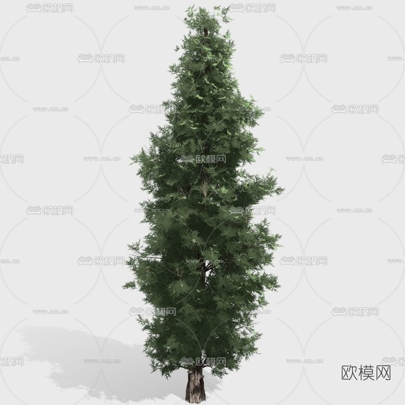 现代绿植树木免费3d模型下载