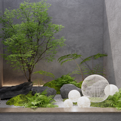 室内的植物景观