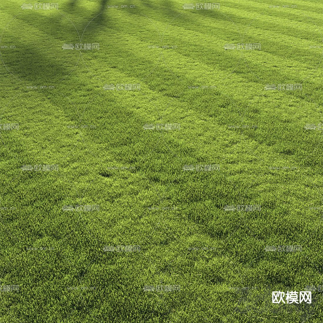 现代草地草坪3d模型下载（渲染图2）