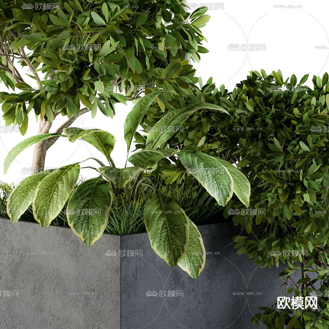 现代绿植盆栽花坛3d模型下载（渲染图2）
