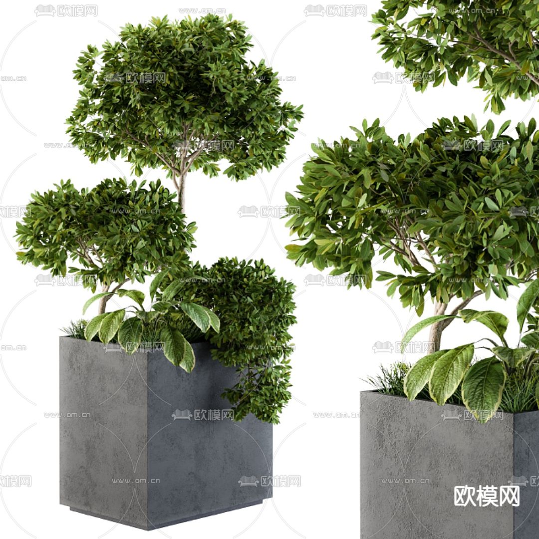 现代绿植盆栽花坛3d模型下载（渲染图1）