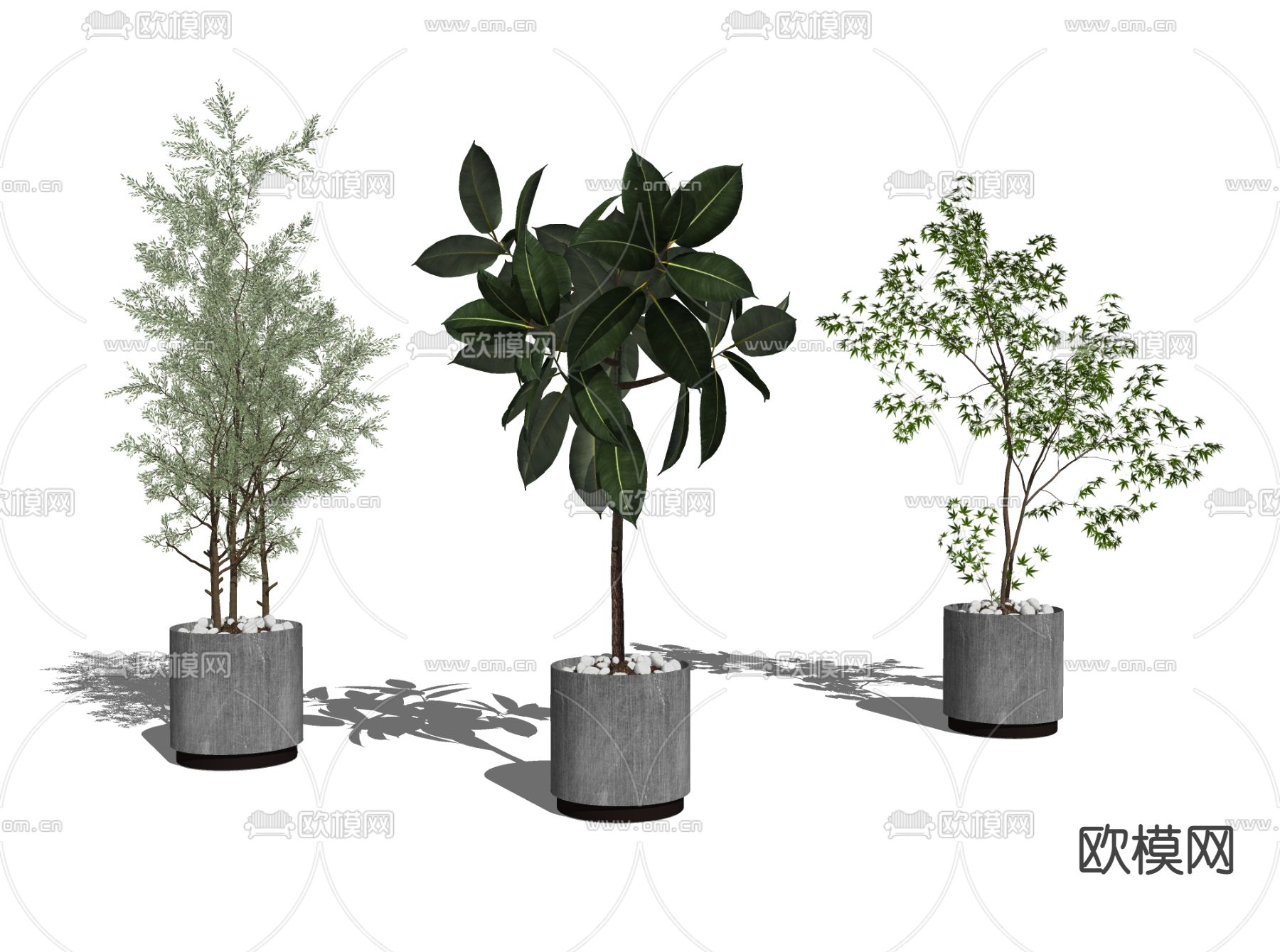 现代绿植盆栽su模型下载（渲染图2）