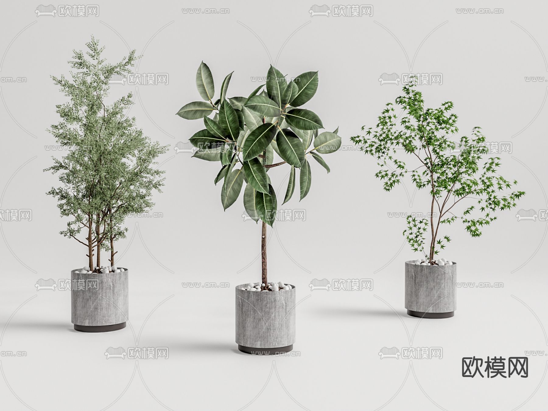 现代绿植盆栽su模型下载（渲染图1）