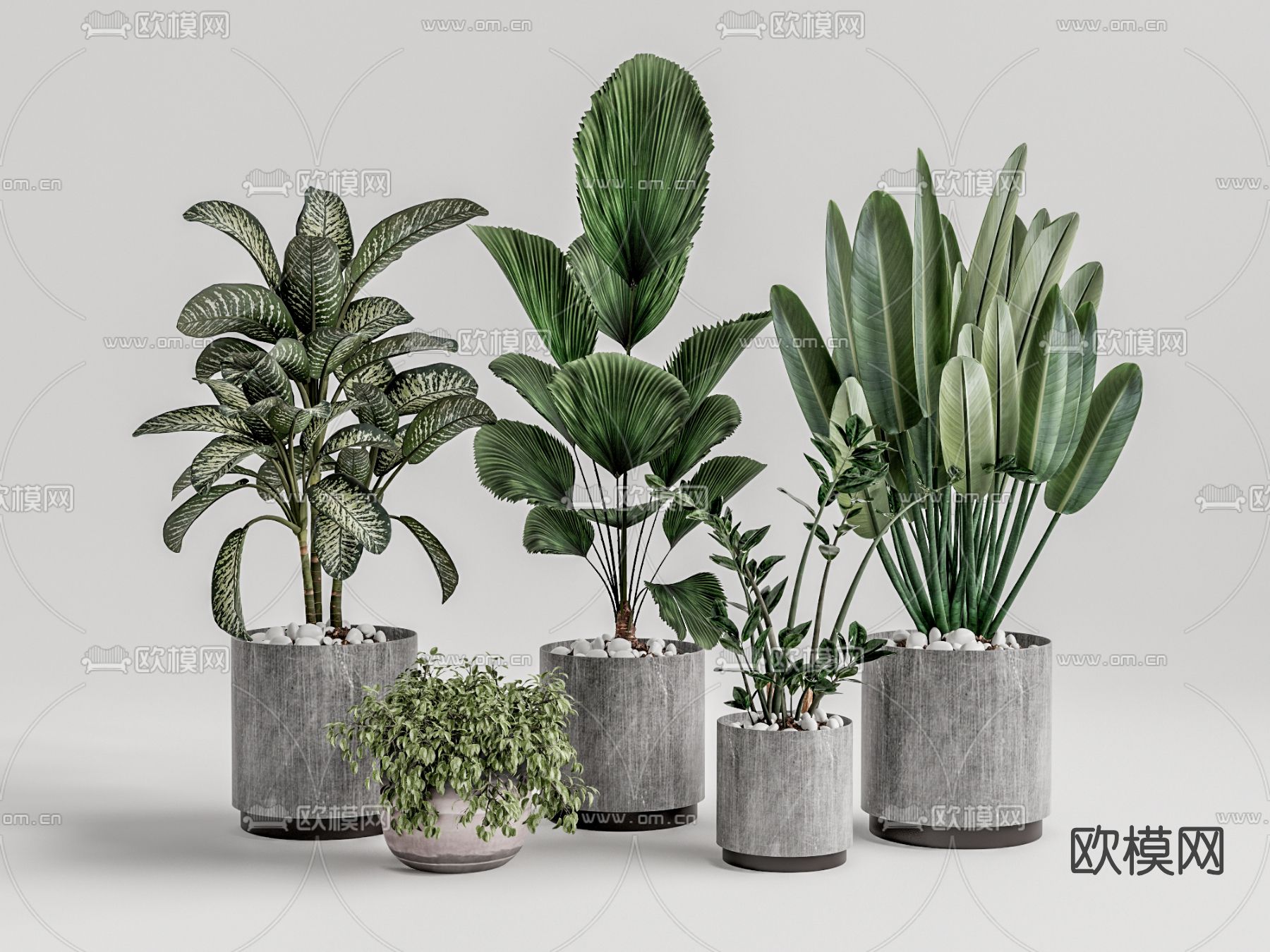 现代绿植盆栽盆景su模型下载_ID11814160_sketchup模型下载-欧模网