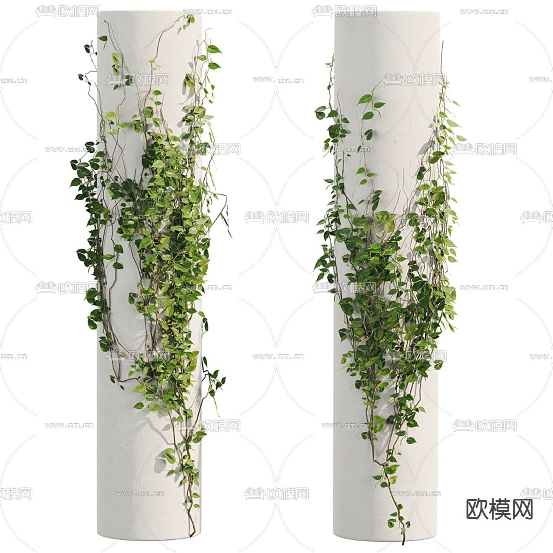 现代藤曼植物3d模型下载（渲染图2）