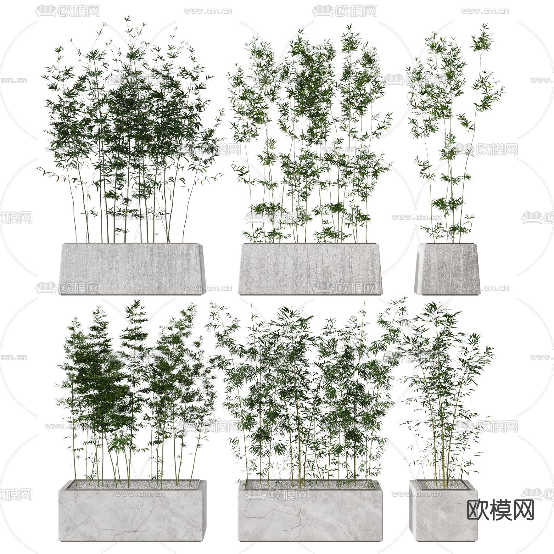 现代植物竹子3d模型下载
