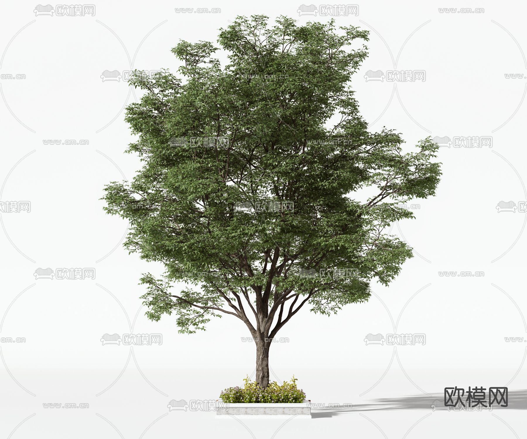 现代大树景观树3d模型下载