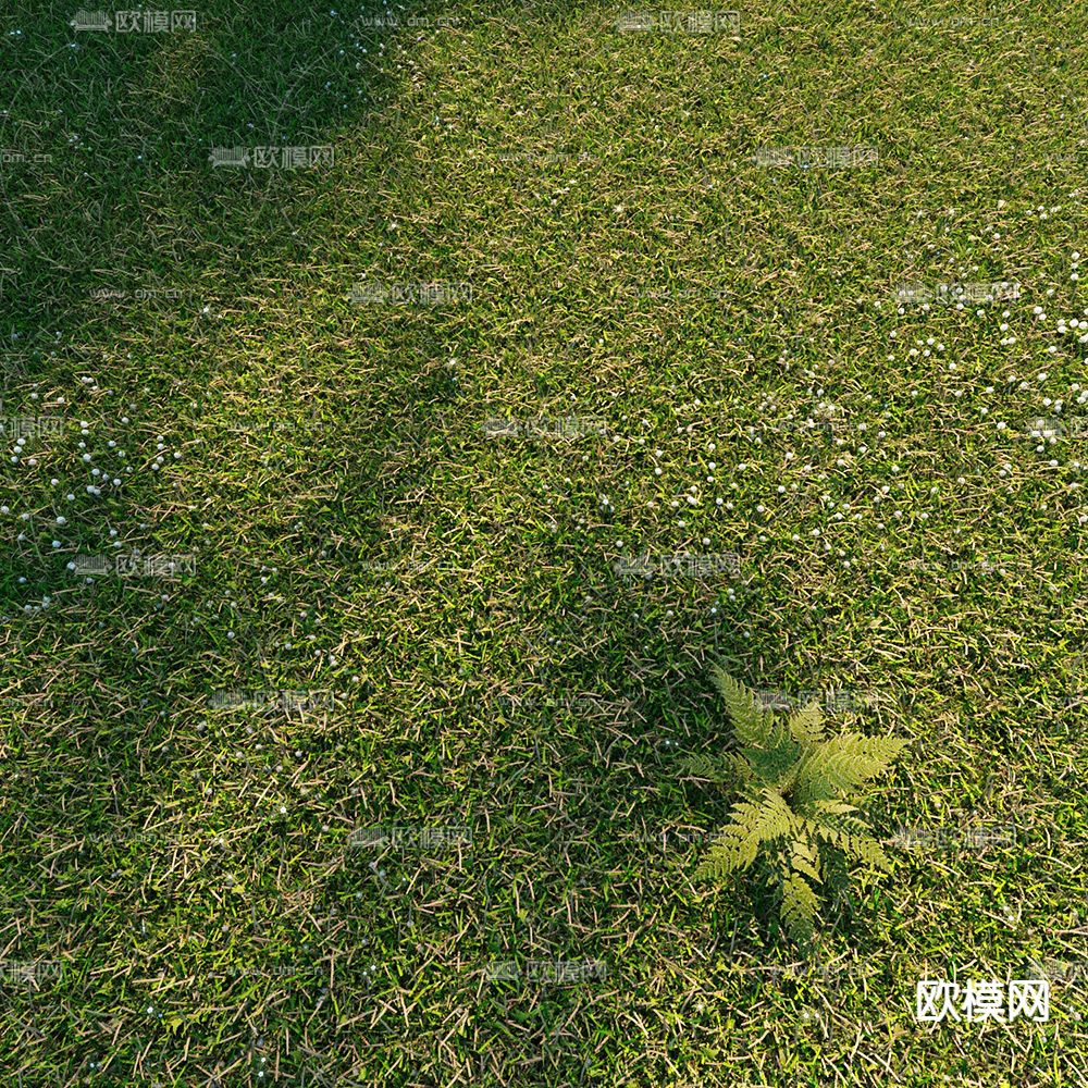 现代草坪草地3d模型下载（渲染图2）