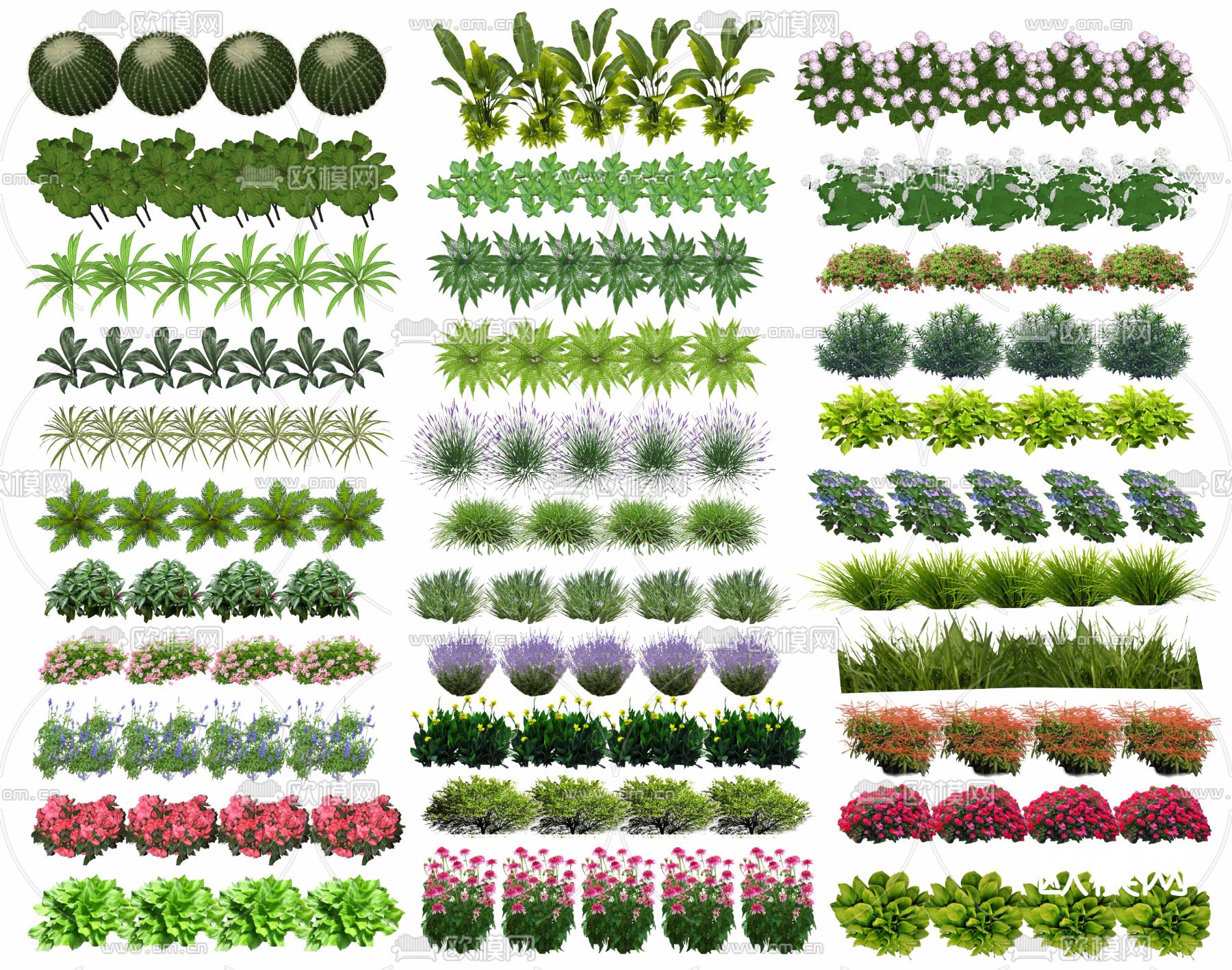 现代植物花草su模型下载