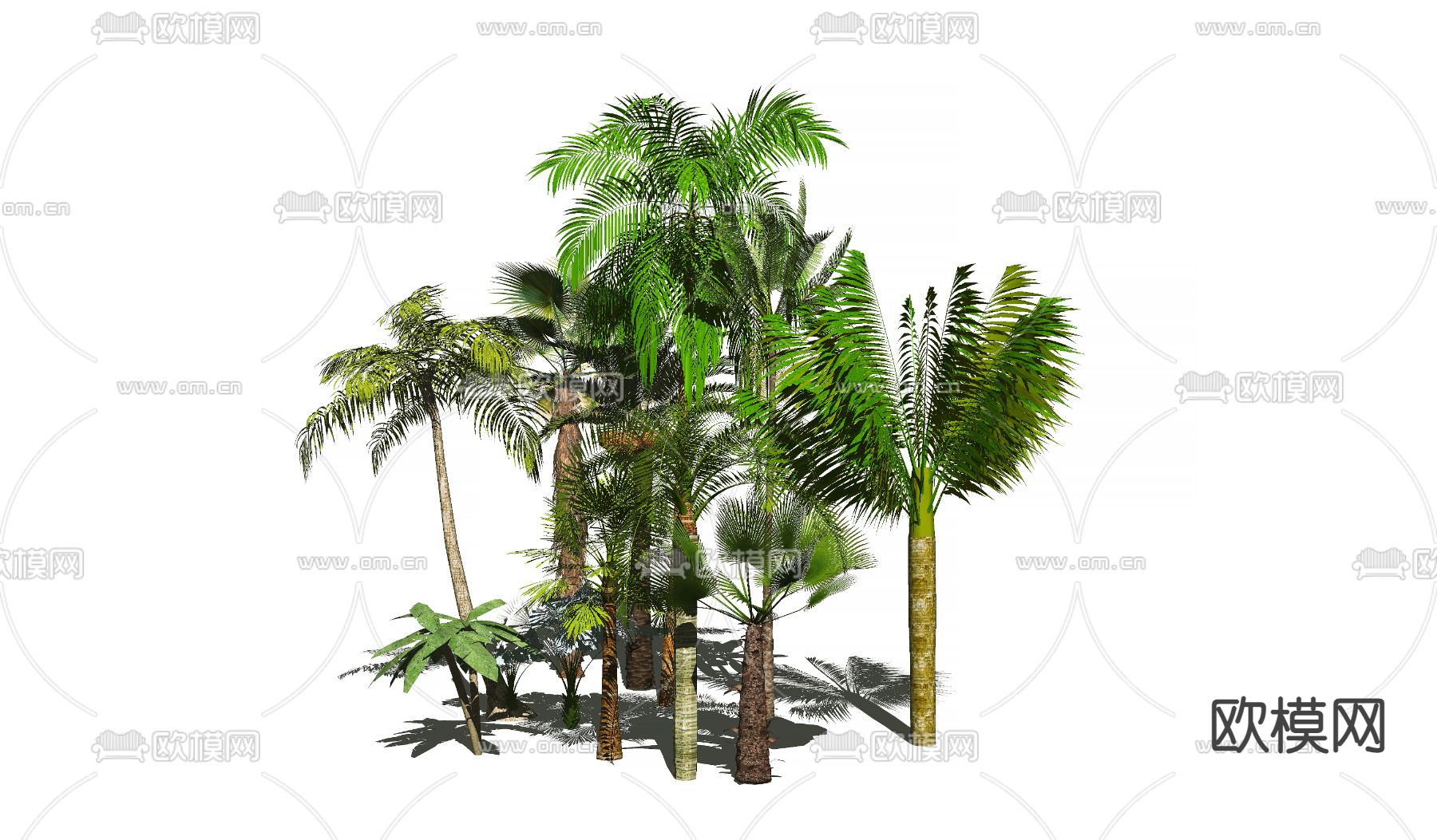 东南亚树木su模型下载