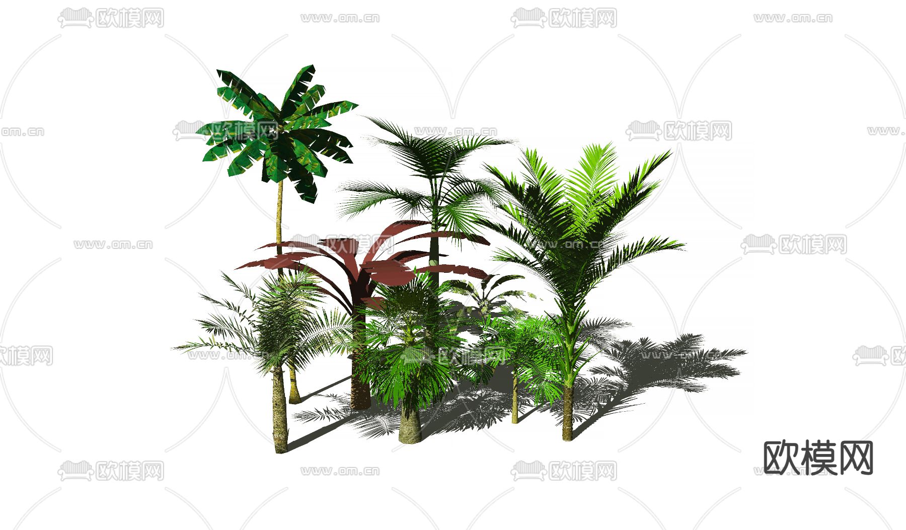 东南亚树木su模型下载