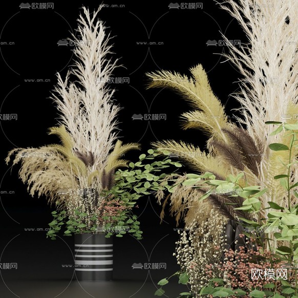 现代绿植芦苇盆栽免费3d模型下载
