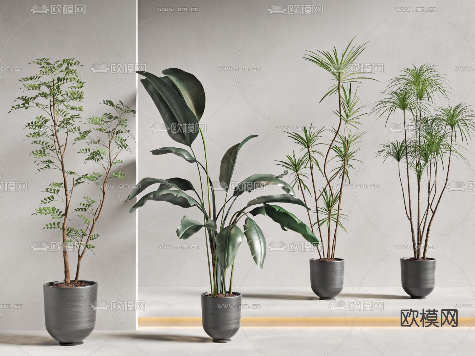 现代植物盆栽3d模型