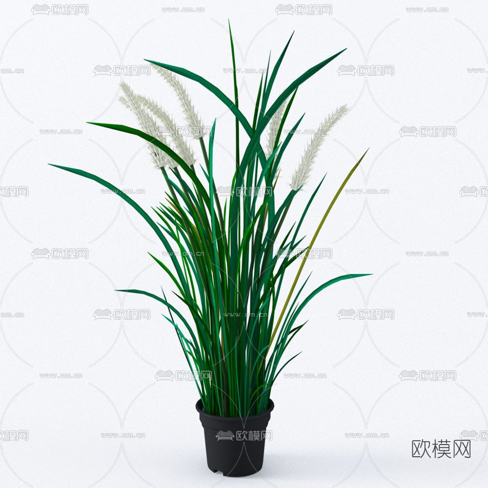 现代绿植盆栽免费3d模型下载